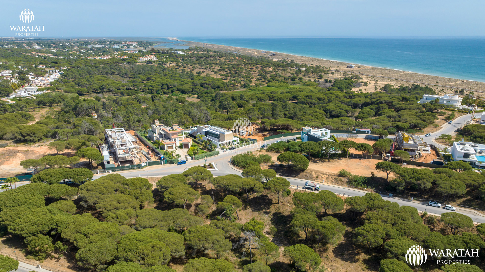 Plot Maples WP (12 De 16)