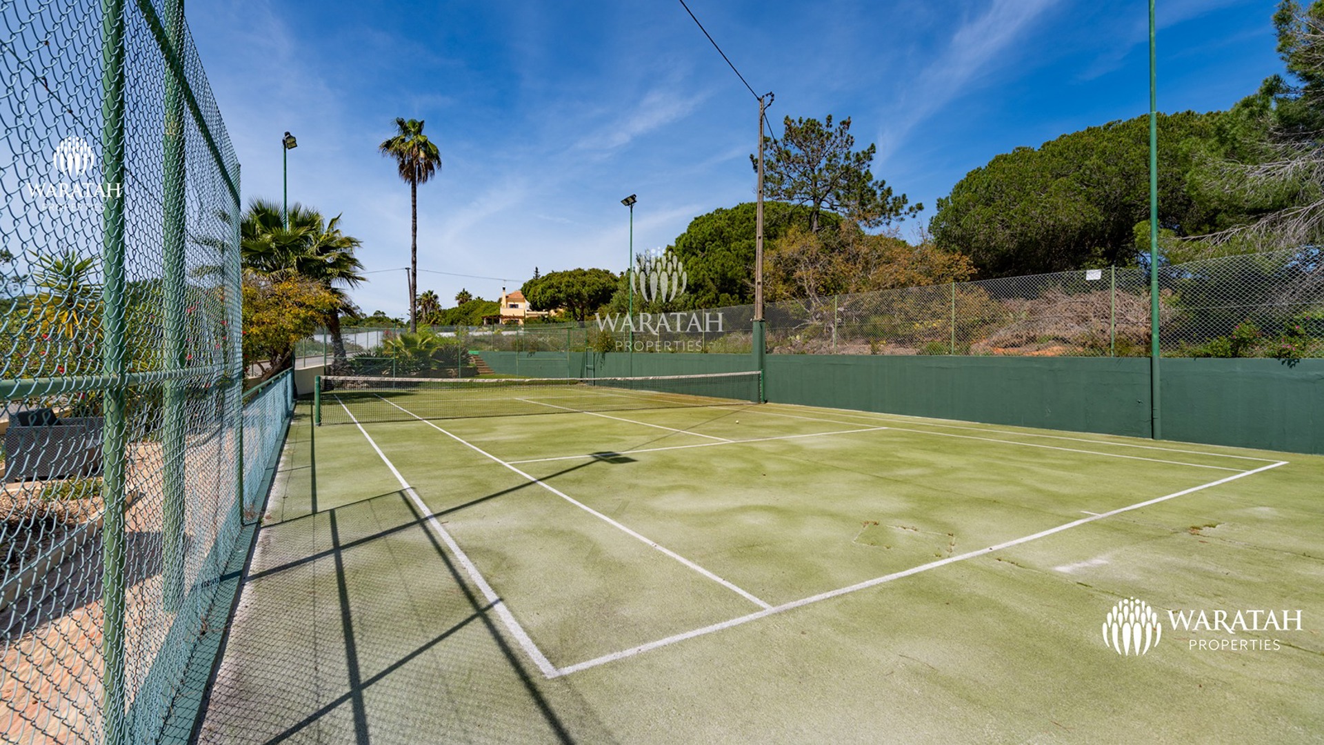 Villa Palmeira Waratah Properties (79 Of 89)