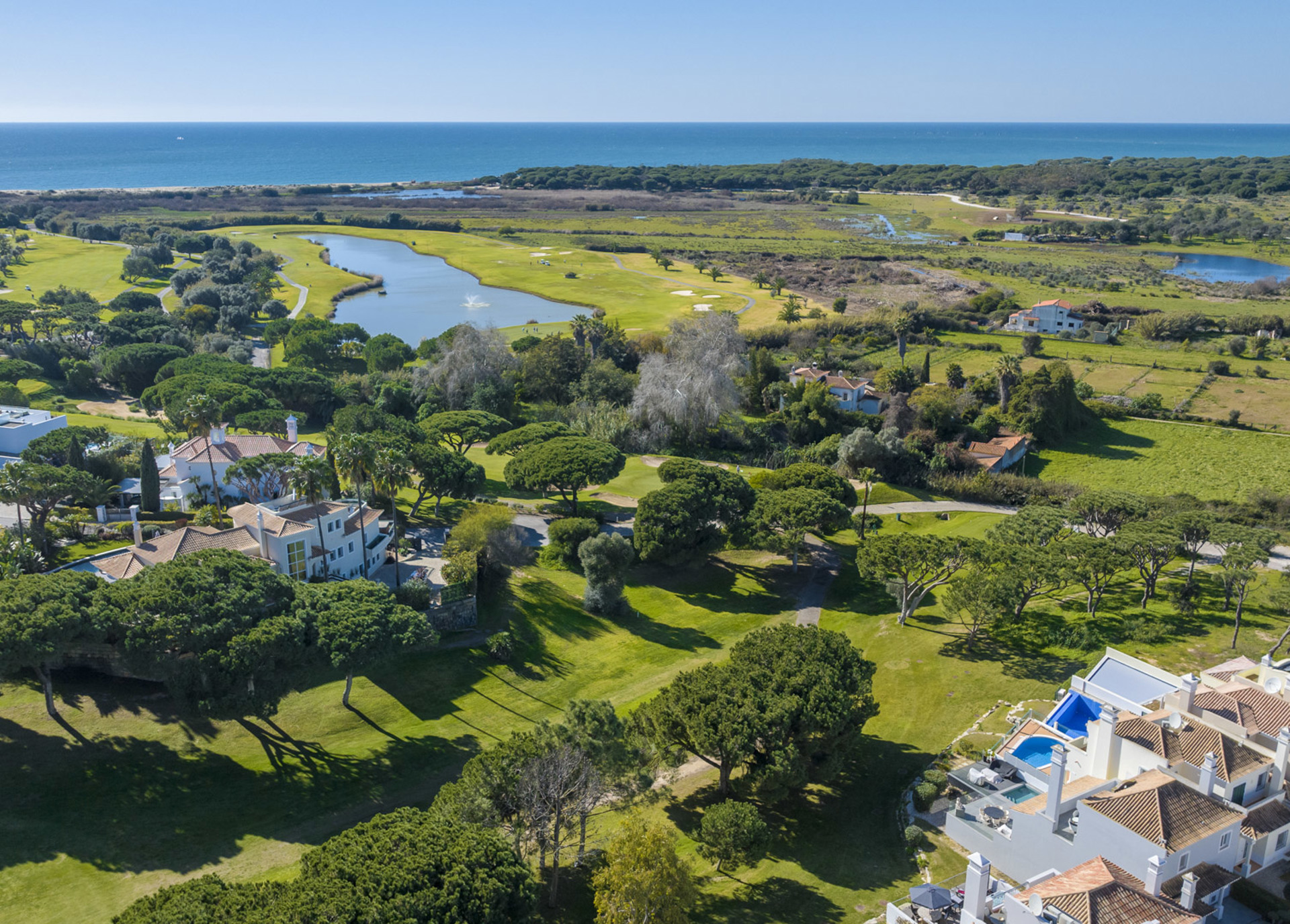 Villa Lyra WP (2 De 3)