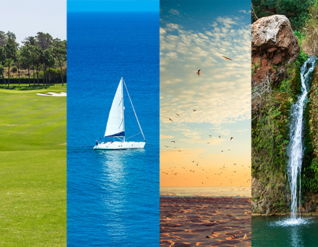 More Than a Season: Why the Golden Triangle Shines All Year Round