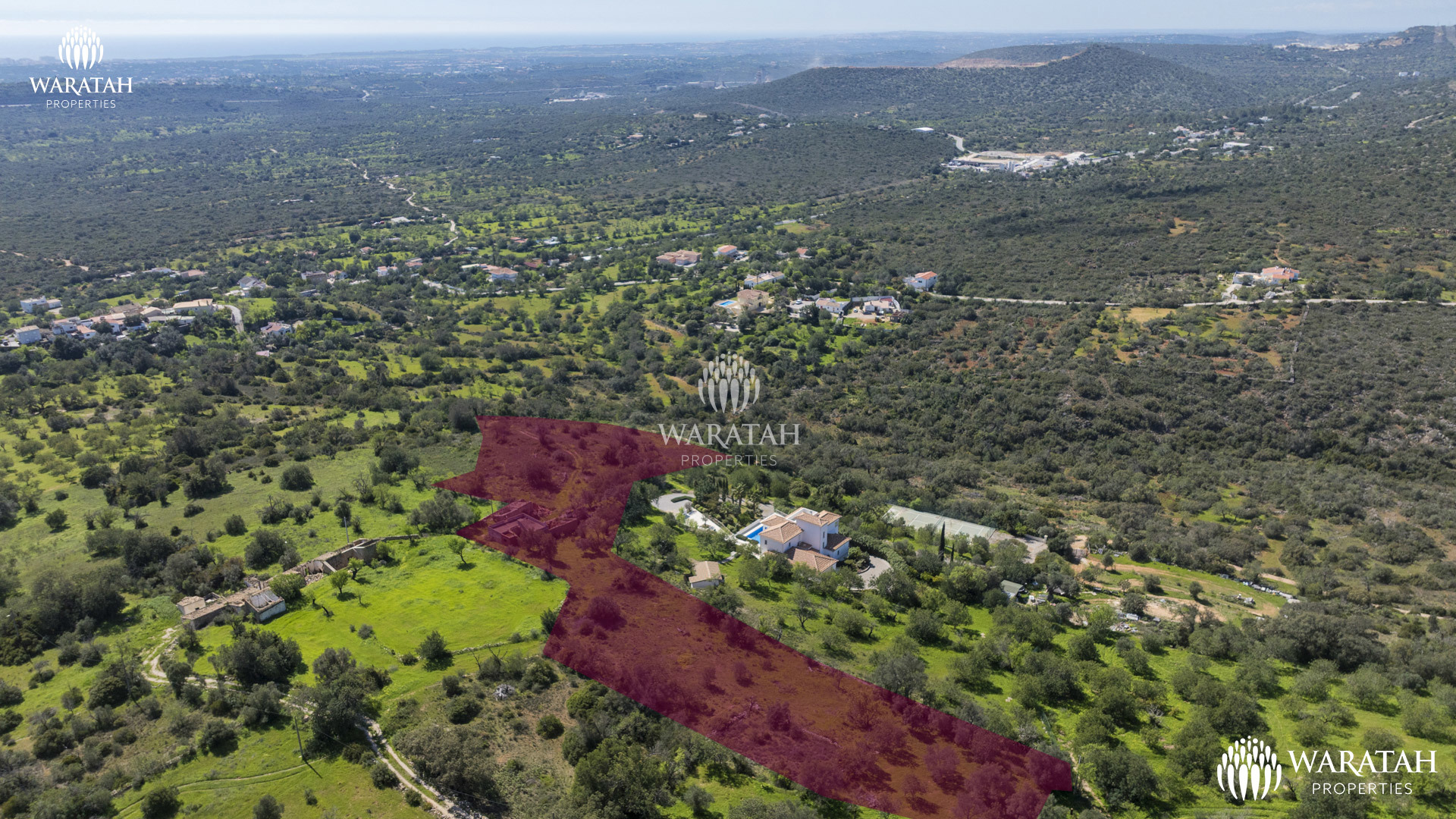 Plot Linaria WP (11 De 28)