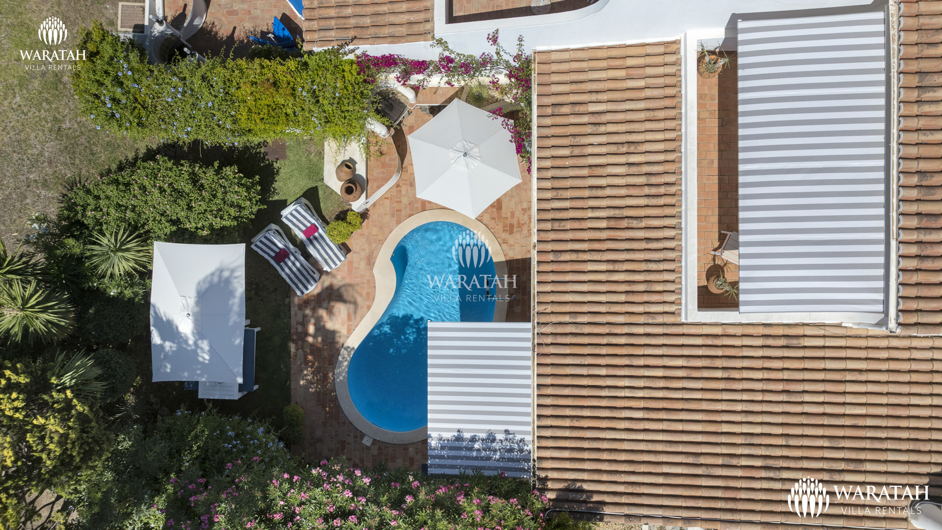 Waratah Townhouse Rosa 29
