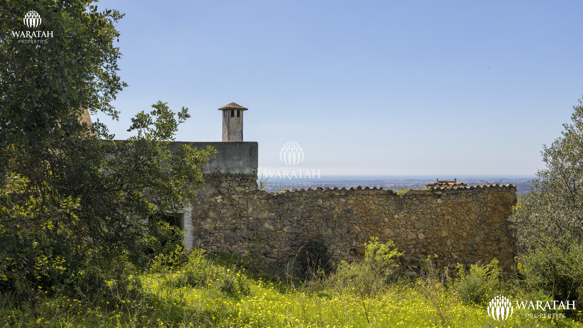 Plot Linaria WP (17 De 28)