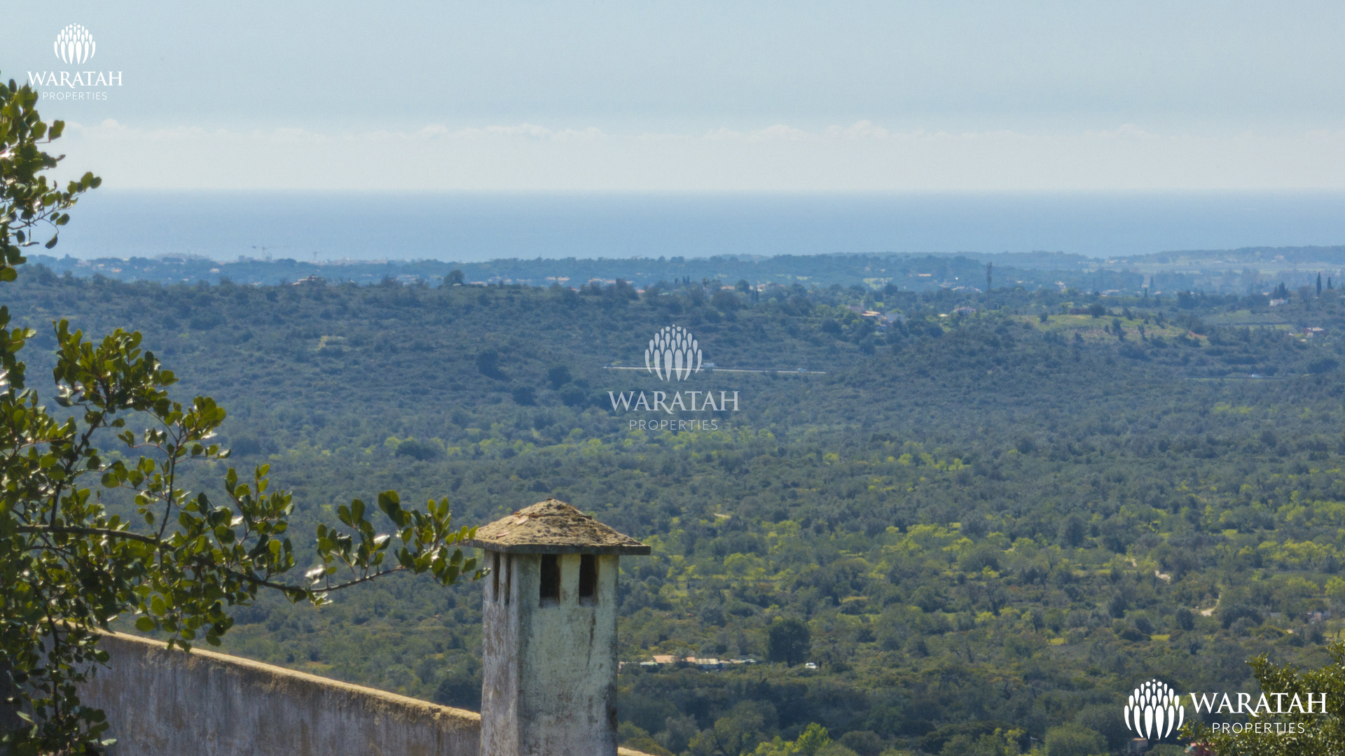 Plot Linaria WP (3 De 28)