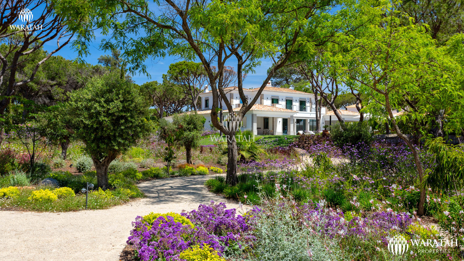 Villa Sandor Wp (47 De 106)