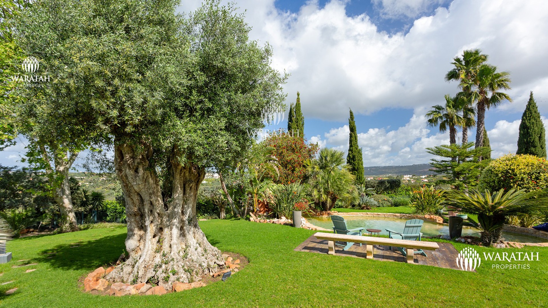 Quinta Les Olivades Vale Judeu Waratah Properties (11)
