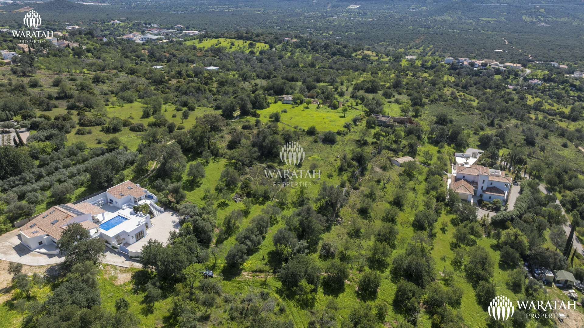 Plot Linaria WP (7 De 28)