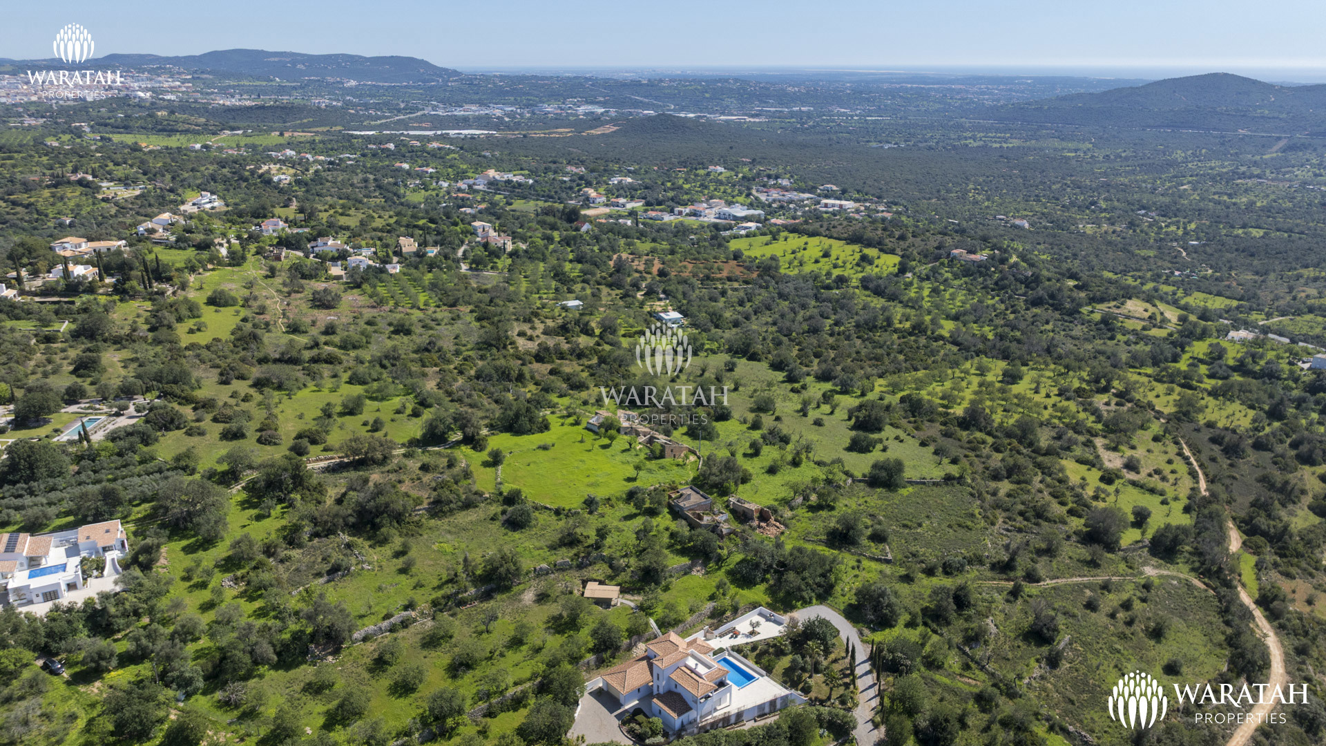 Plot Linaria WP (10 De 28)