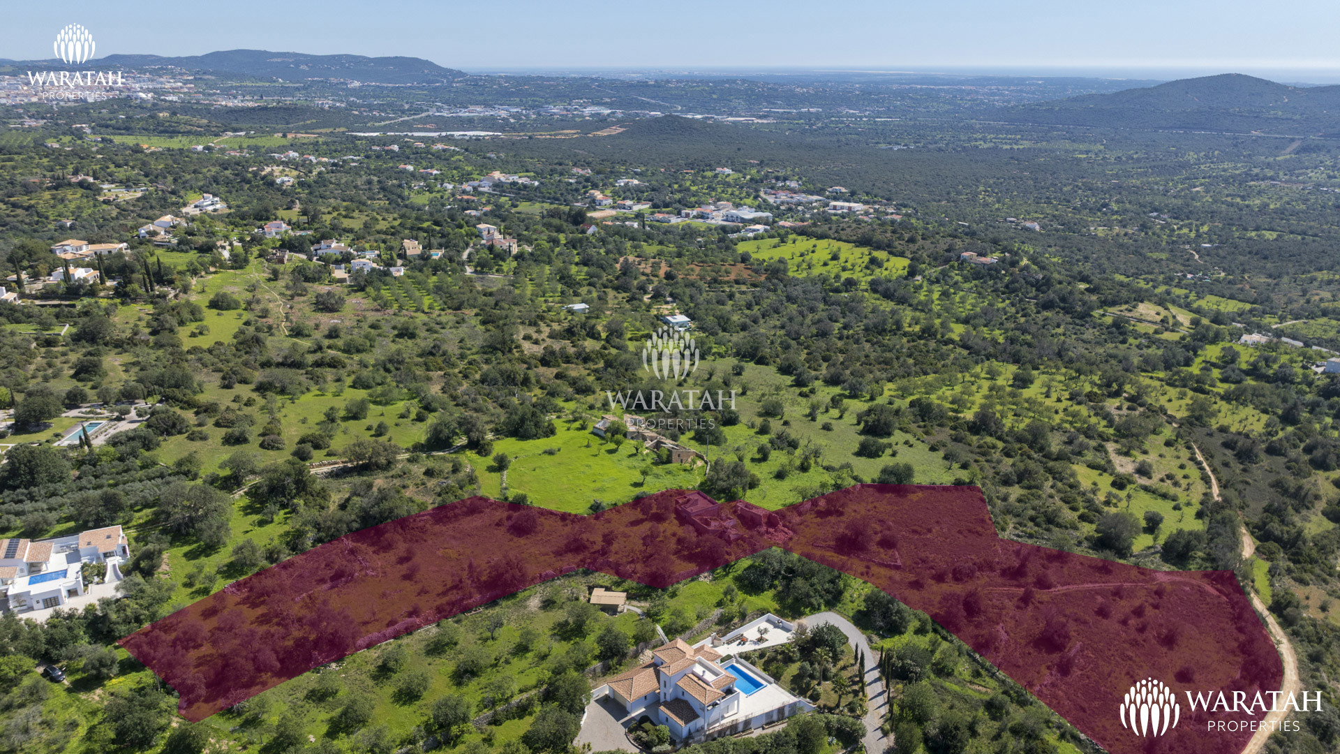 Plot Linaria WP (9 De 28)