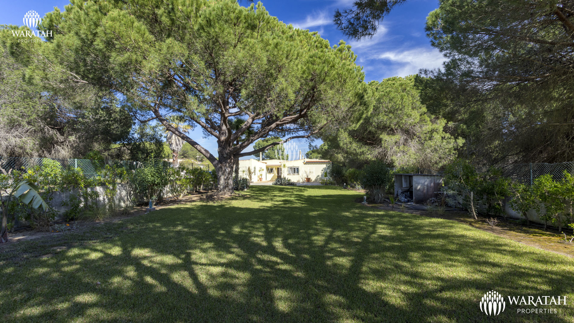 Villa Kimbo Kuya WP (12 De 22)