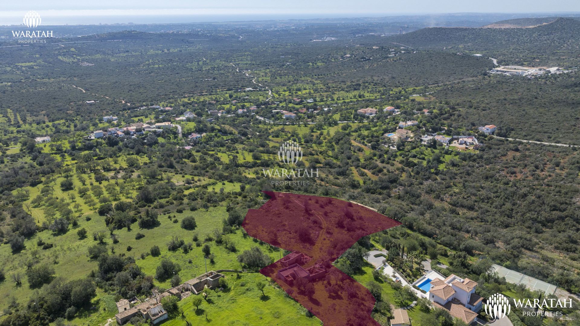 Plot Linaria WP (13 De 28)