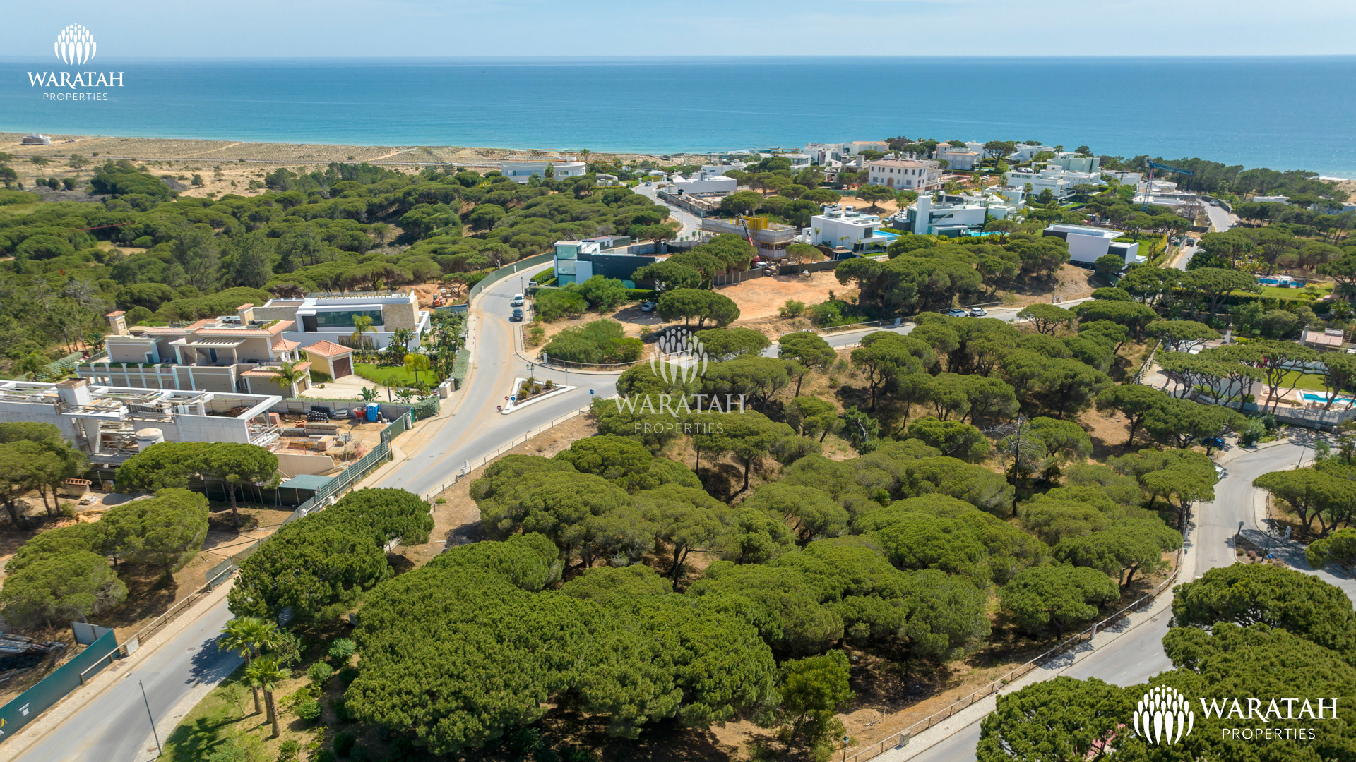 Plot Maples WP (5 De 16)