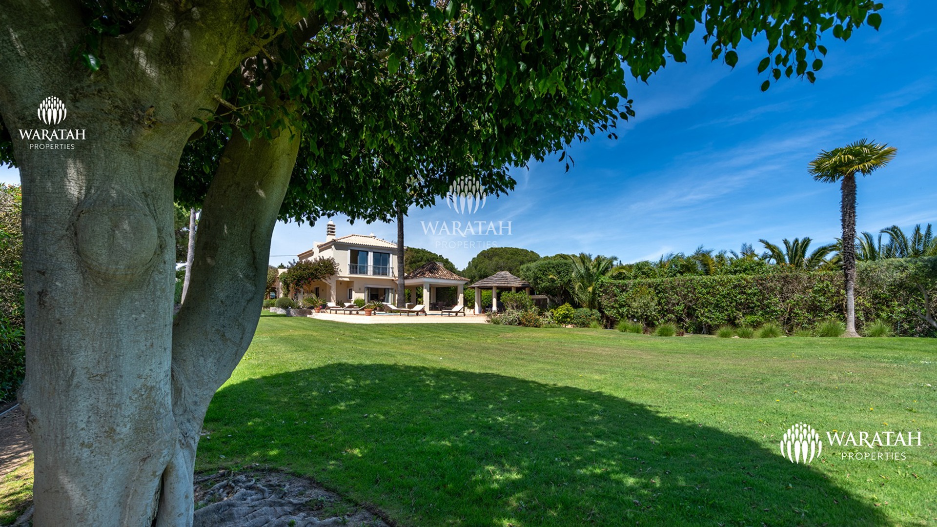 Villa Palmeira Waratah Properties (76 Of 89)