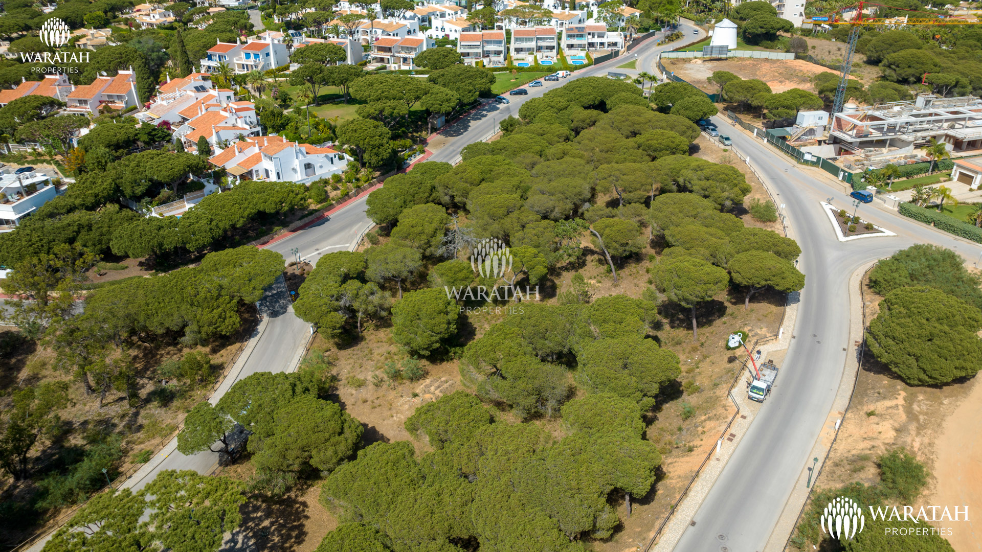 Plot Solo WP (30 De 38)