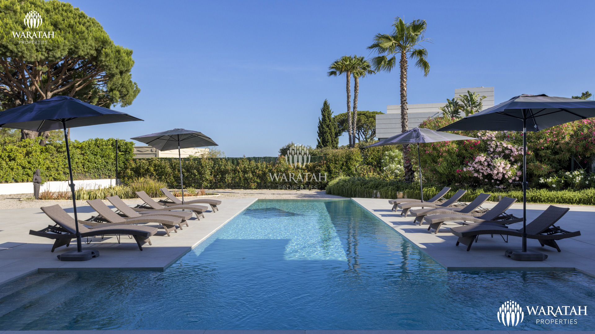 Villa Atlas WP (1 De 31)