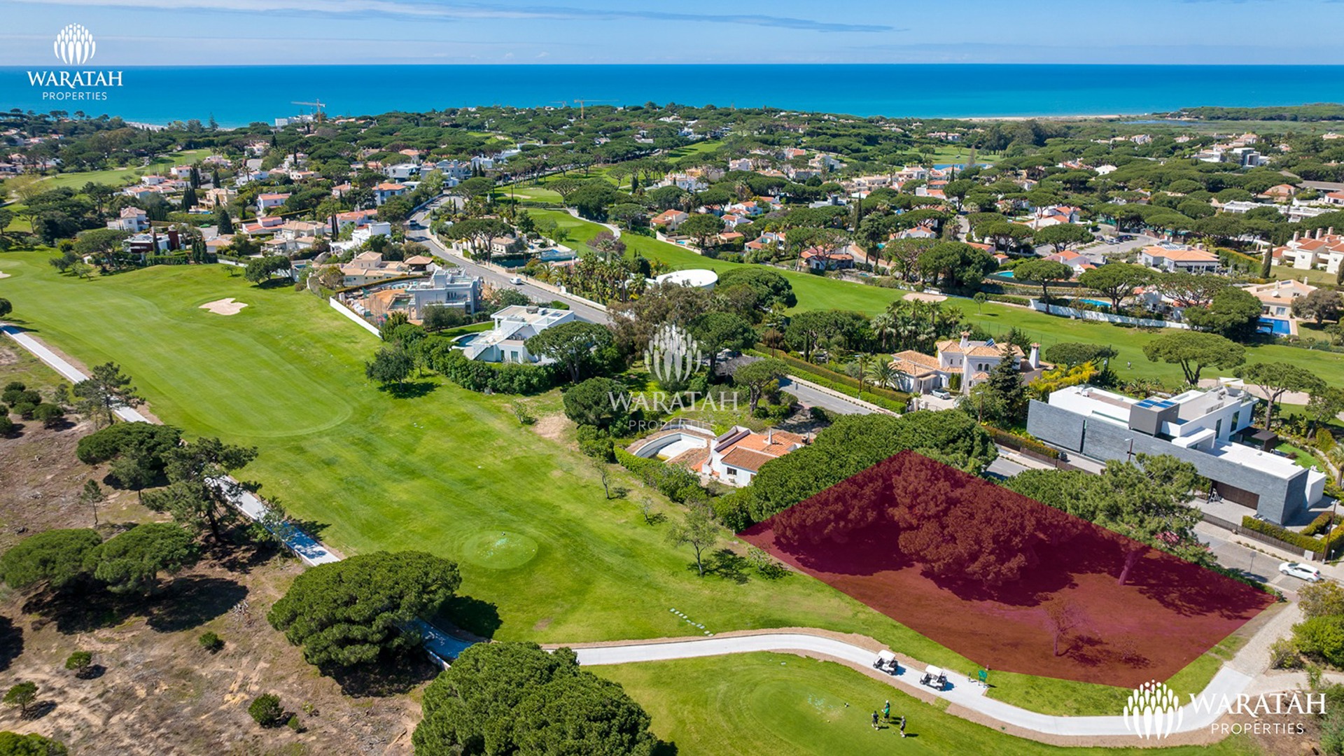 Waratah Plot Fern Vale Do Lobo (14 Of 18)