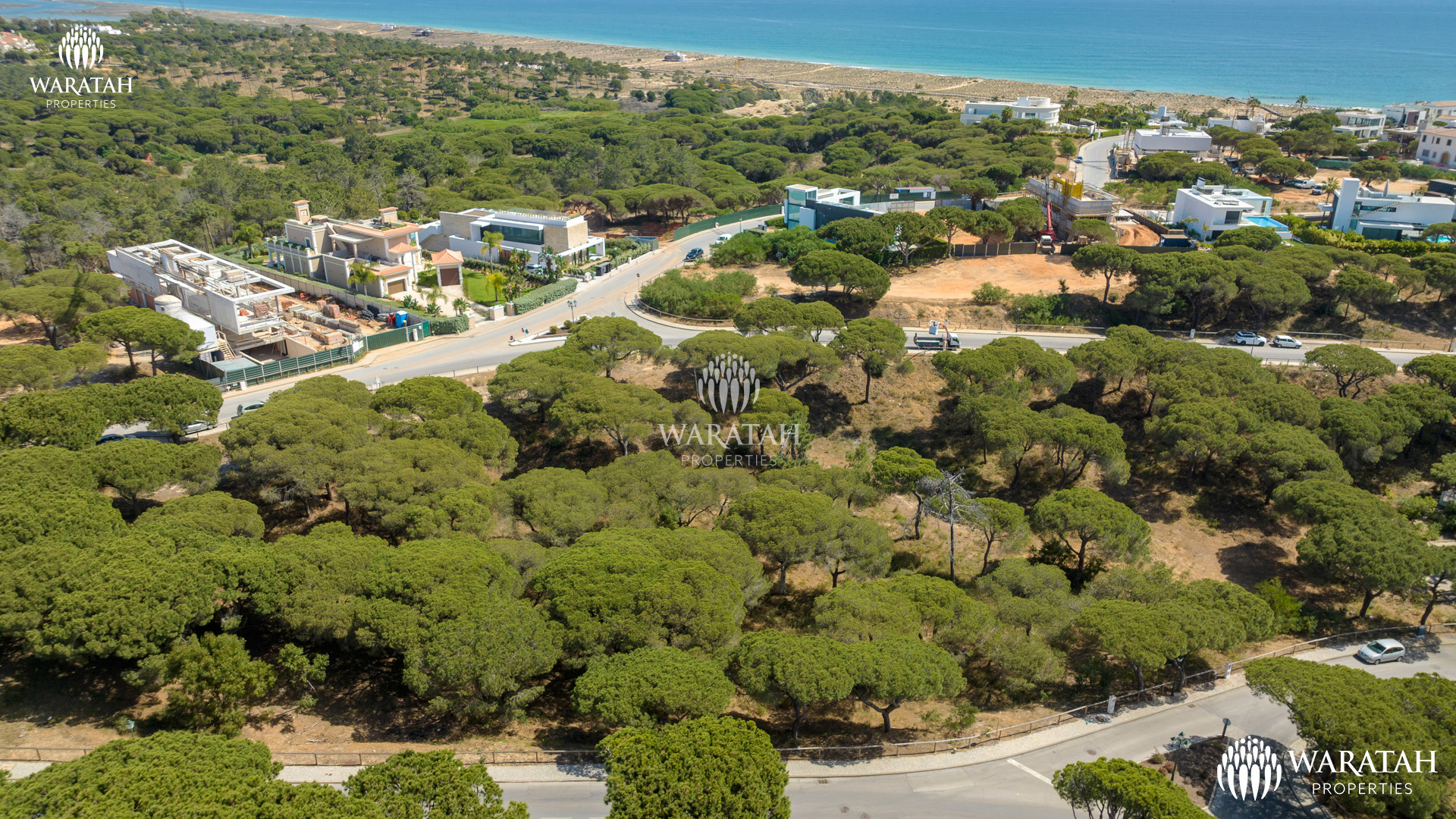 Plot Maples WP (7 De 16)