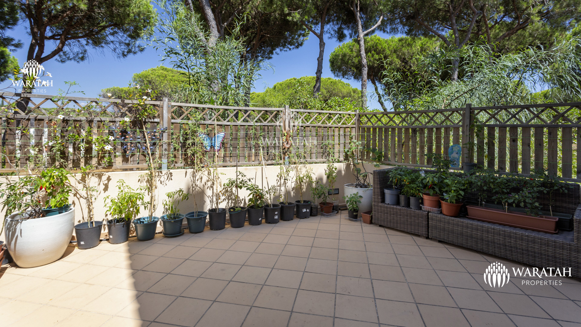 Villa Jill VL Waratah Properties (7)