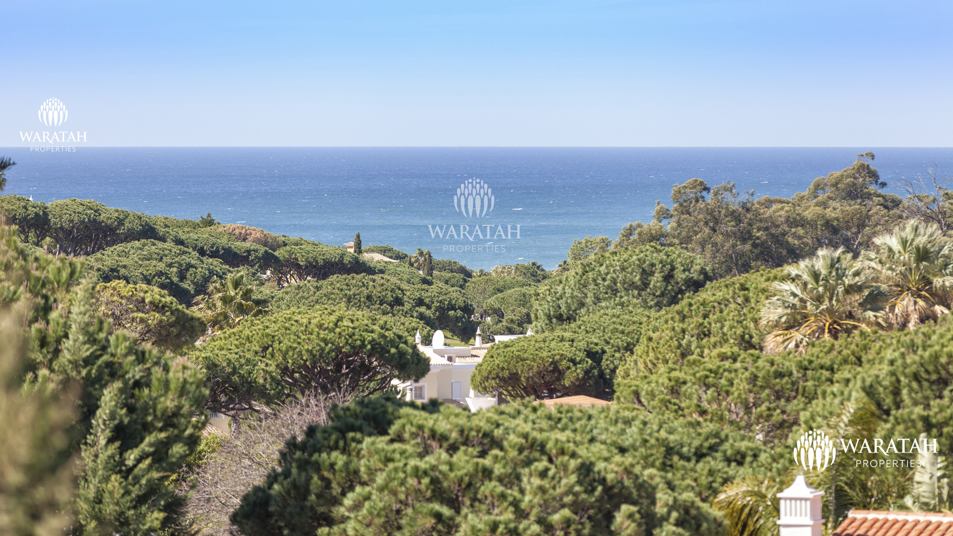 Villa Gucci Waratah Properties (9)