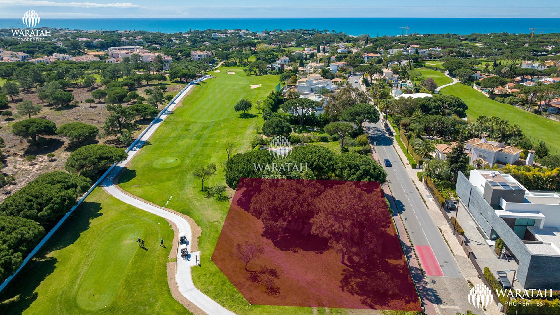 Waratah Plot Fern Vale Do Lobo (13 Of 18)