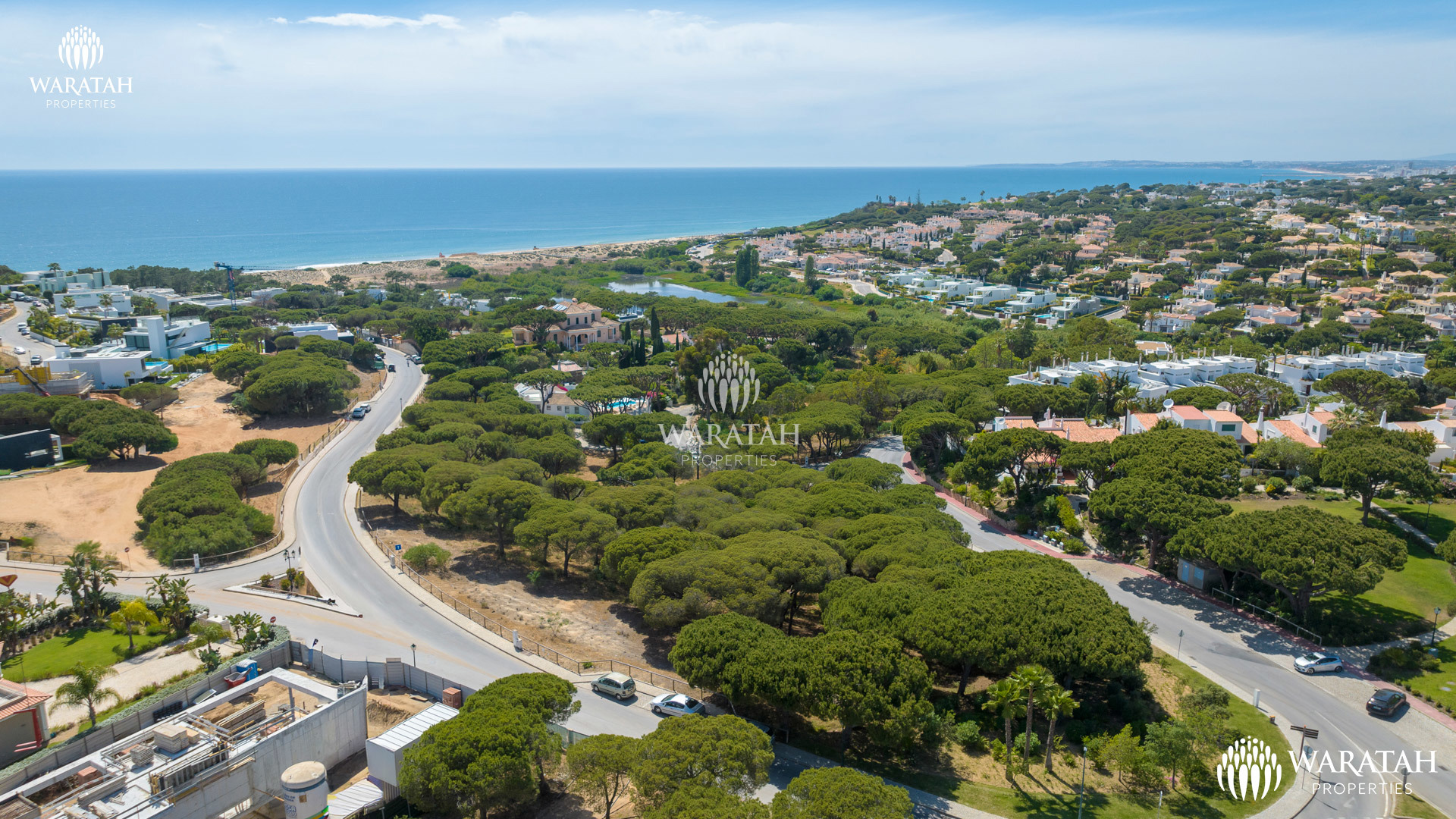 Plot Maples WP (3 De 16)