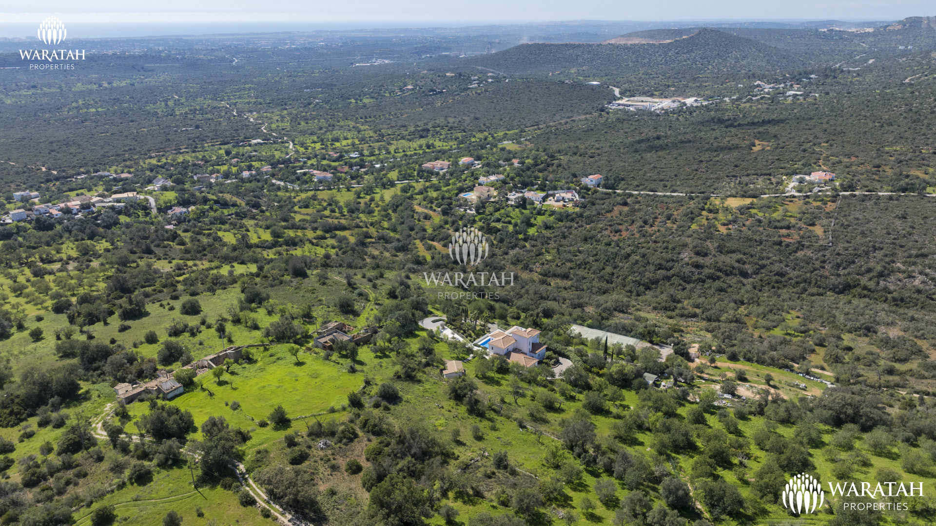 Plot Linaria WP (12 De 28)