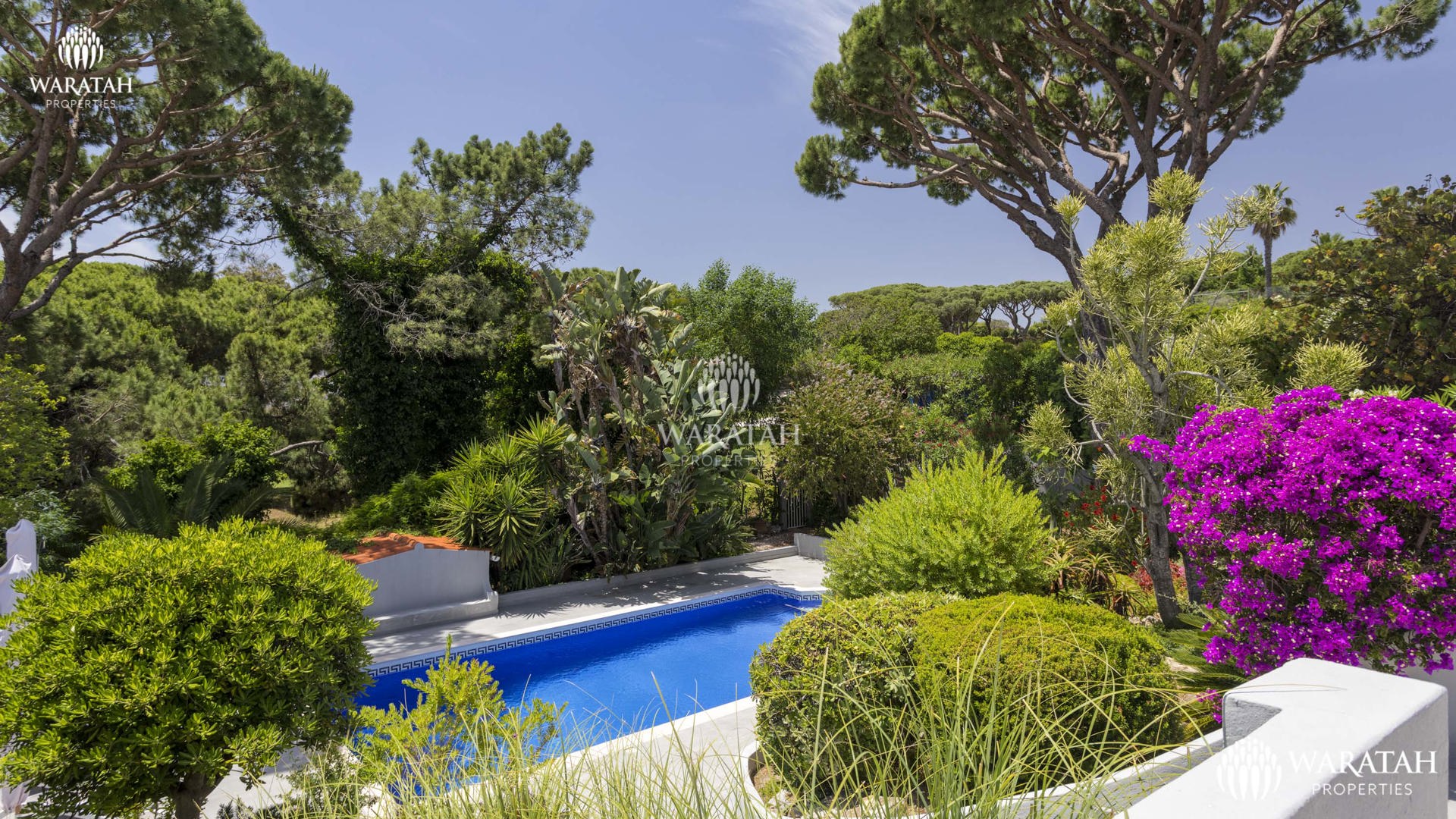 Villa Chimera WP (4 De 31)