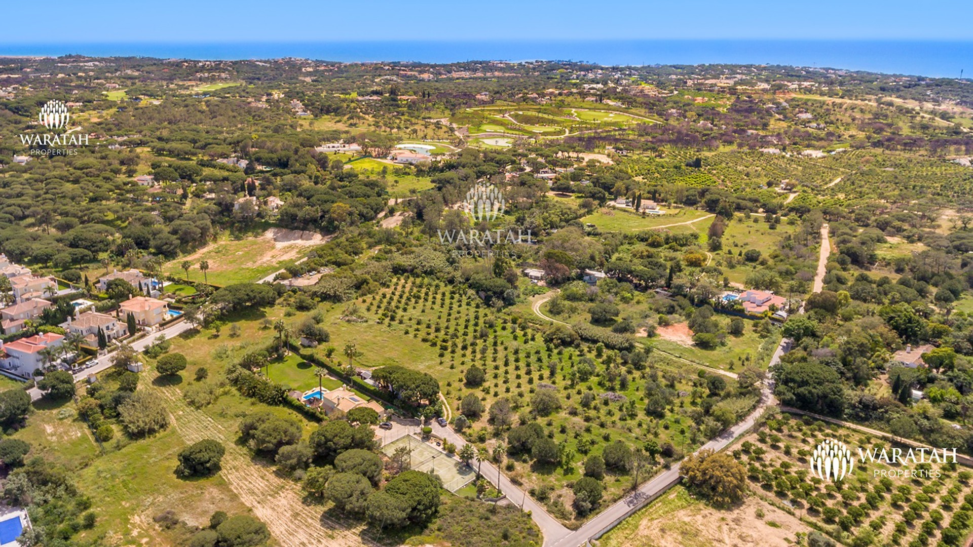 Villa Palmeira Waratah Properties (87 Of 89)