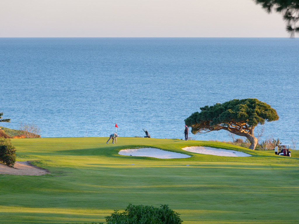 Vale Do Lobo Waratah Properties (8)