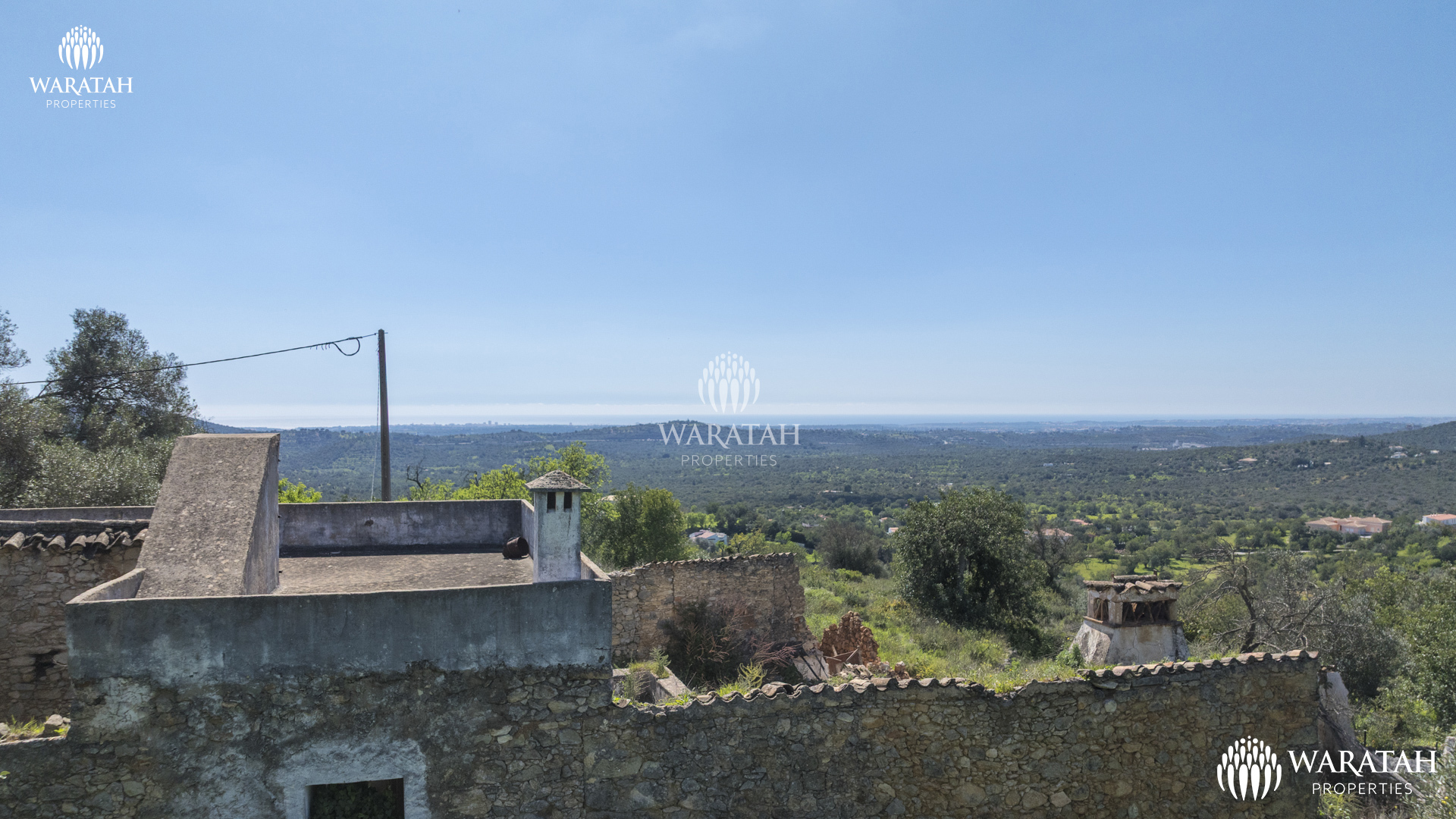 Plot Linaria WP (4 De 28)