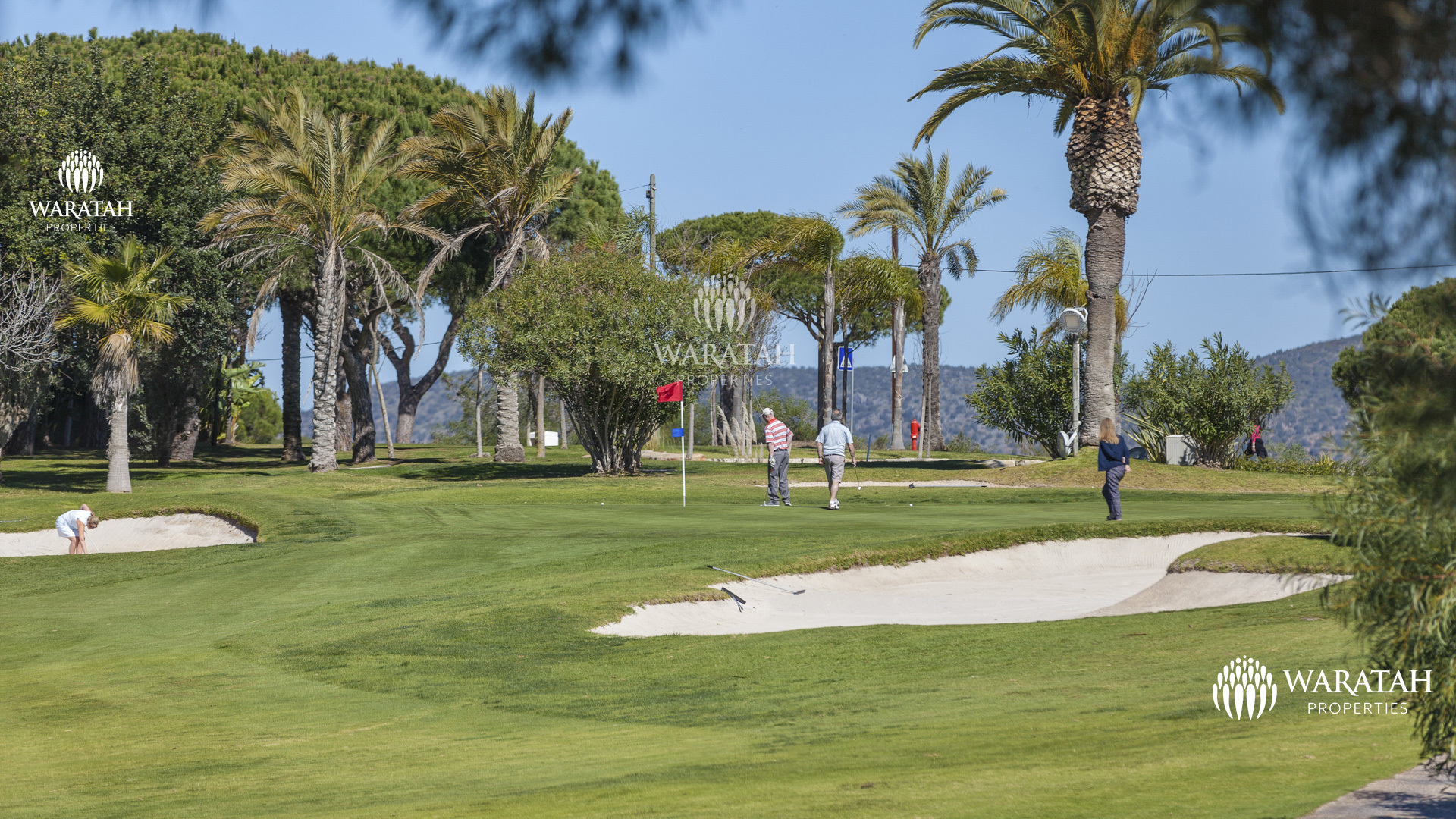 Villa Gucci Waratah Properties (11)