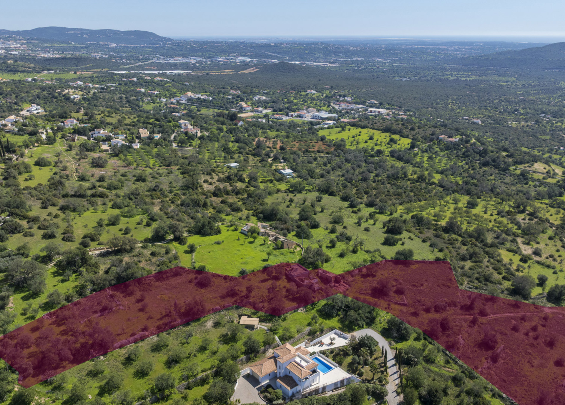 Plot Linaria WP (9 De 28)