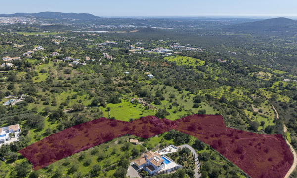 Plot Linaria WP (9 De 28)