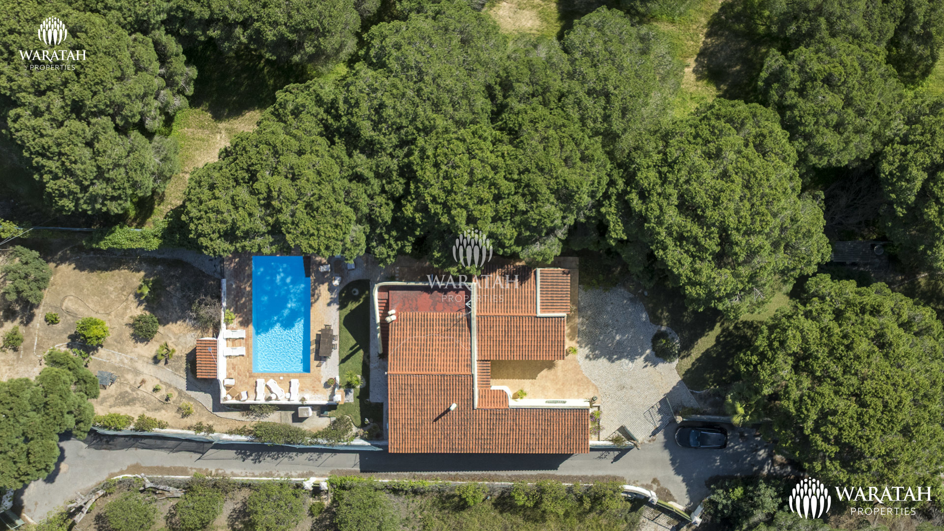 Kimbo Kuya WP (1 De 1)