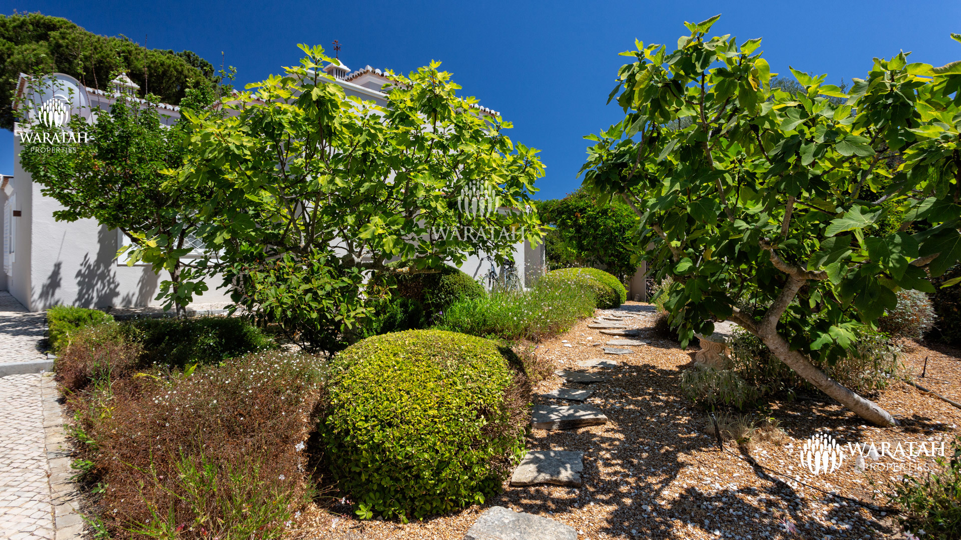 Villa Juna Vale Do Lobo Waratah Properties 10