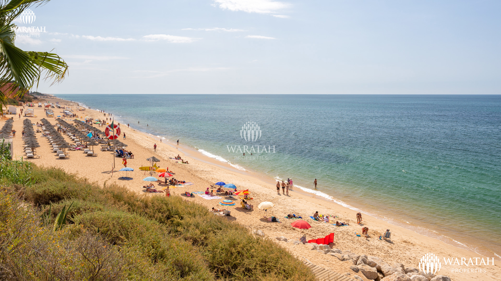 Plot Solo WP (3 De 38)