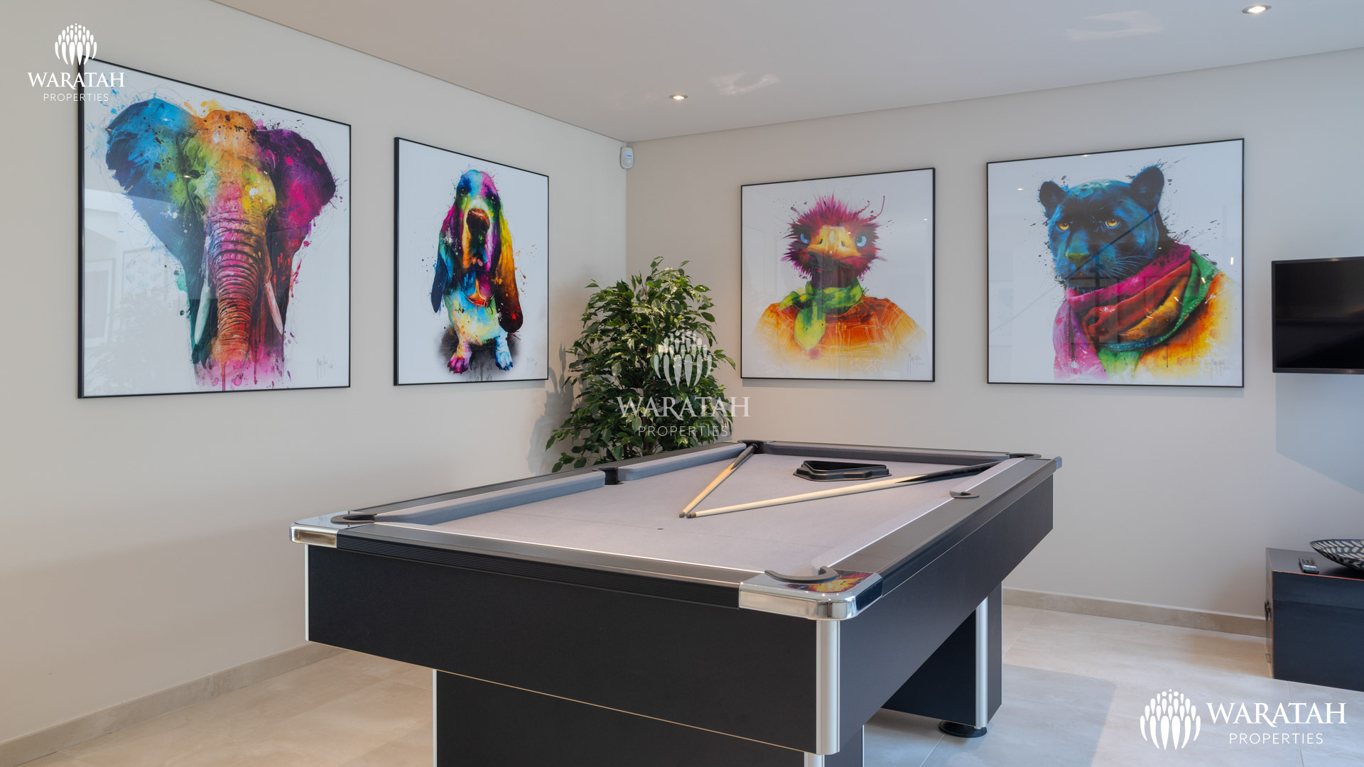 Villa Pyxis Quinta Jacintina Waratah Properties 4