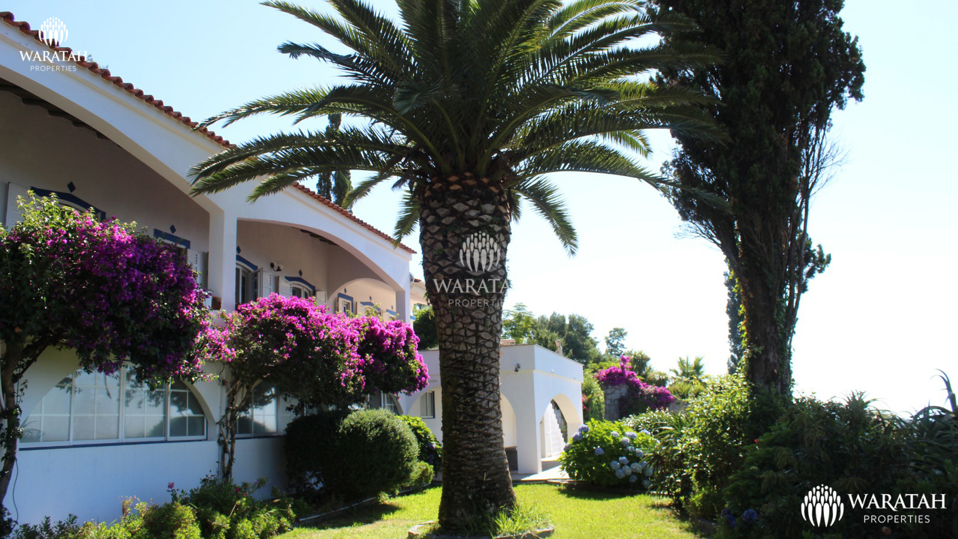 Villa Arcos WP 3