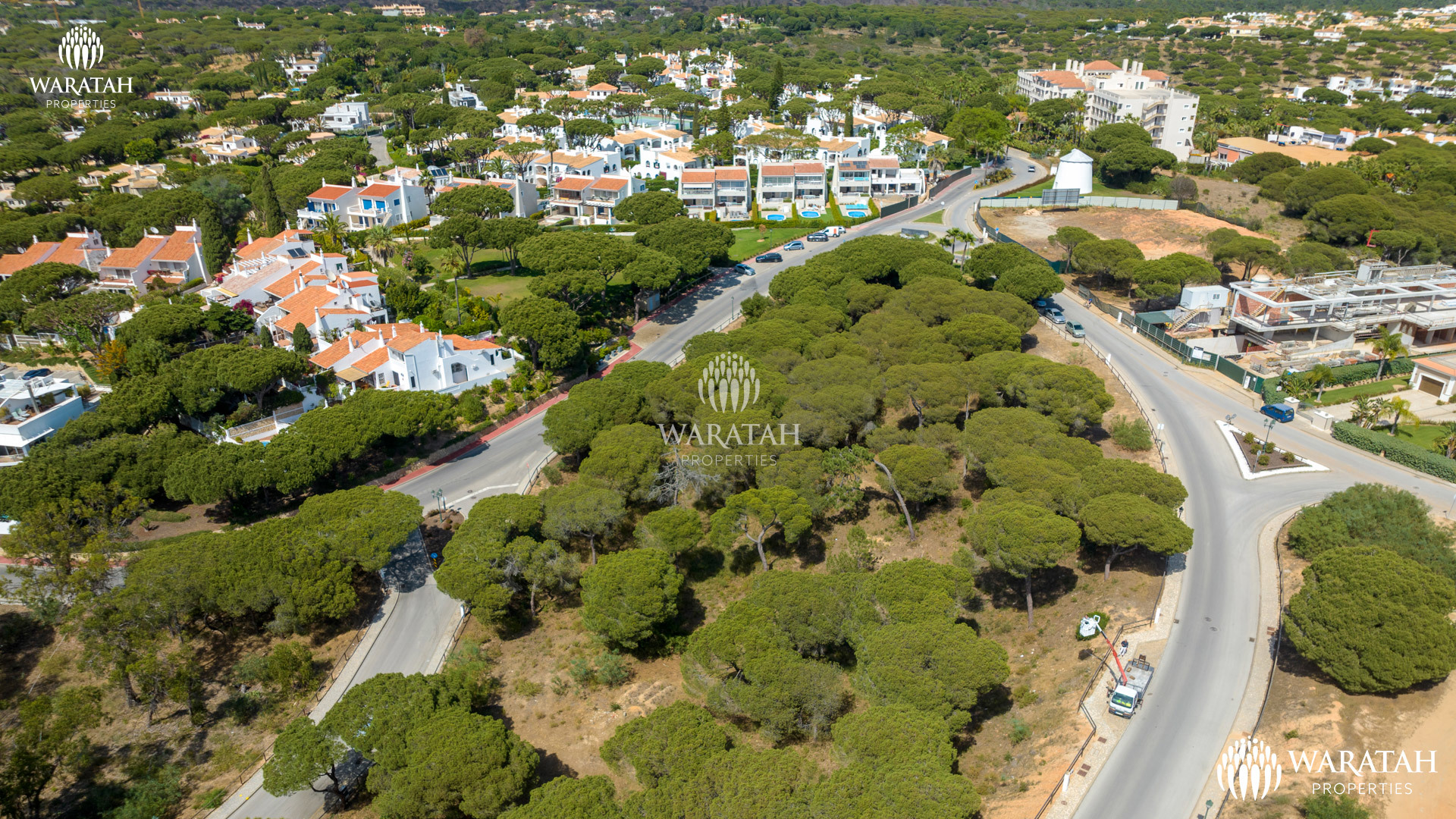 Plot Maples WP (15 De 16)