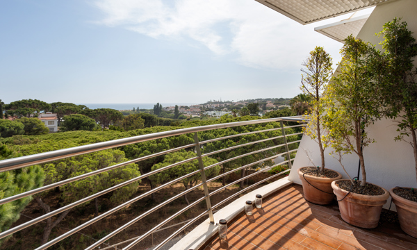 Waratah Apartment Aidan 16