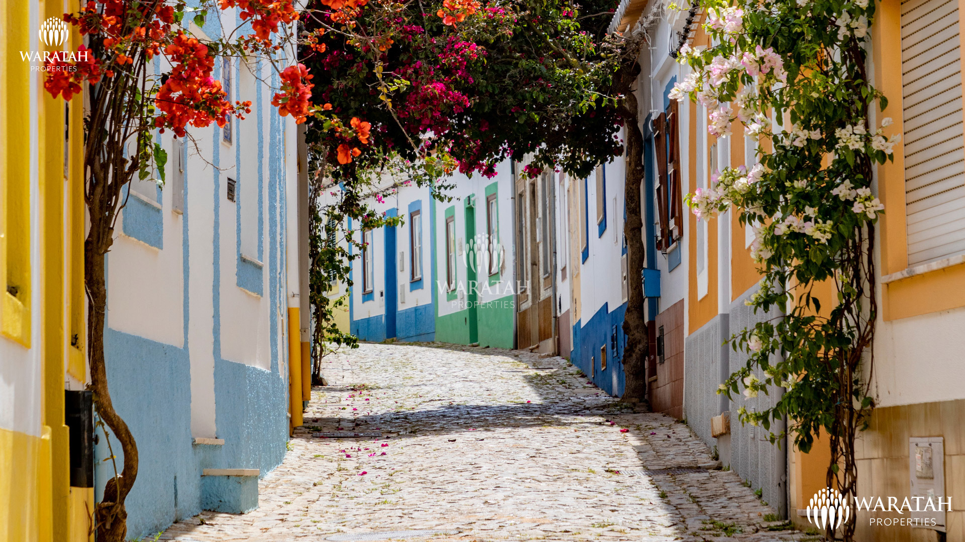 Development Santo Antonio WP (3)