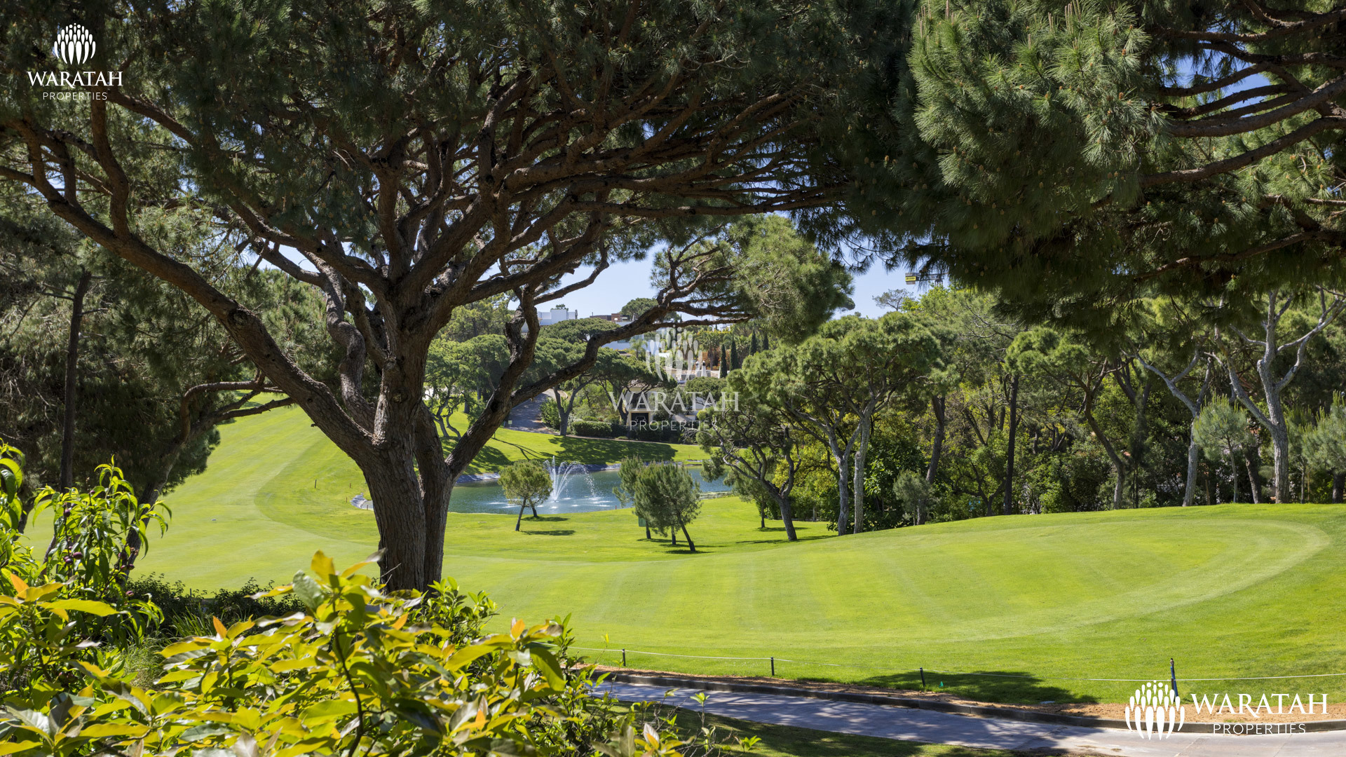 Villa Bessie WP (5 De 47)