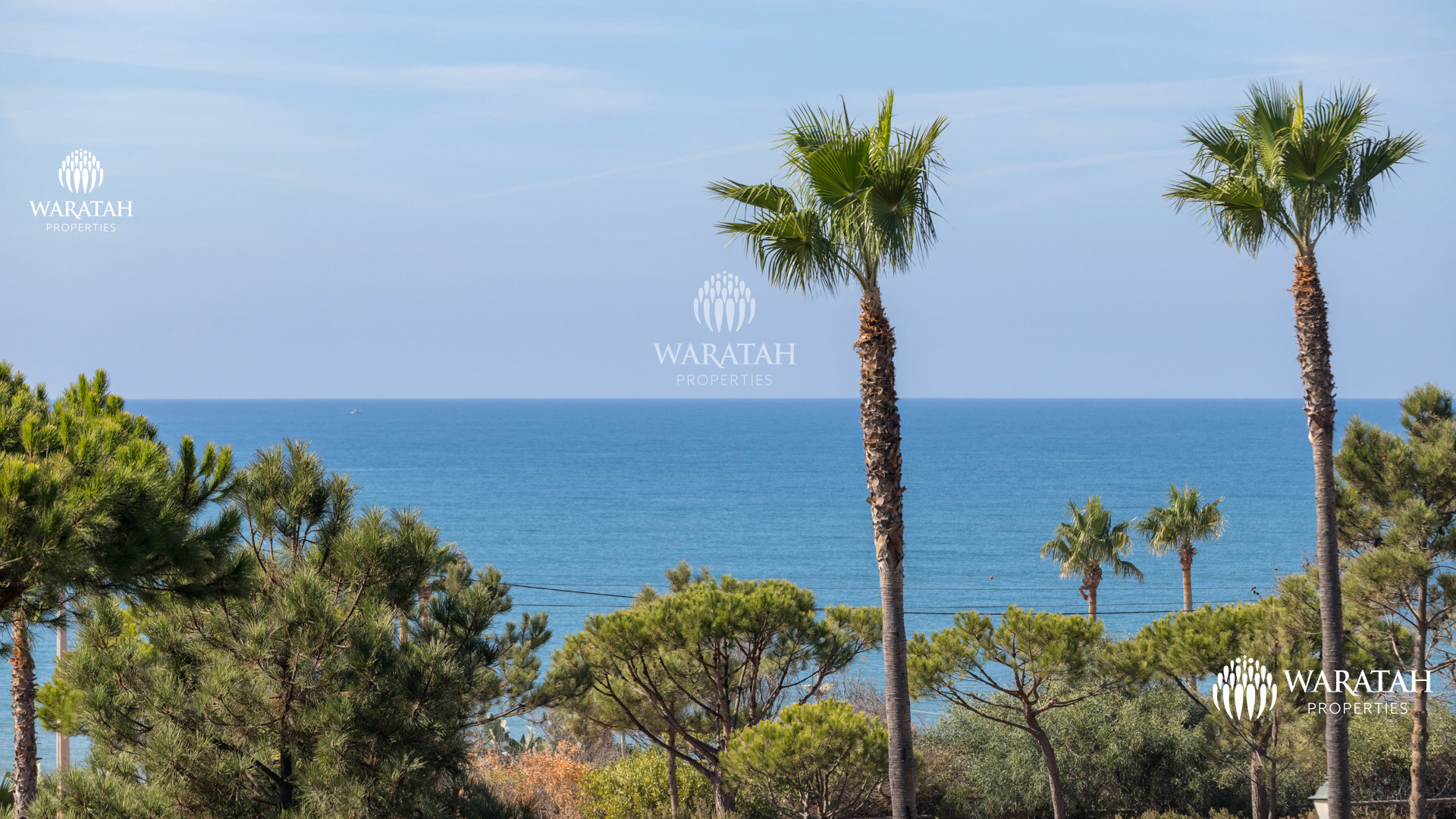 Villa Gabriela Vale Do Lobo Waratah Properties (9)