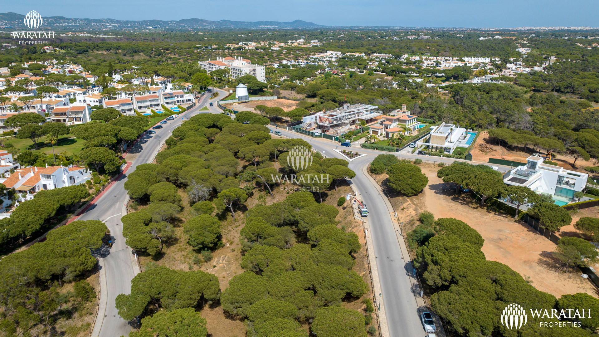 Plot Maples WP (14 De 16)