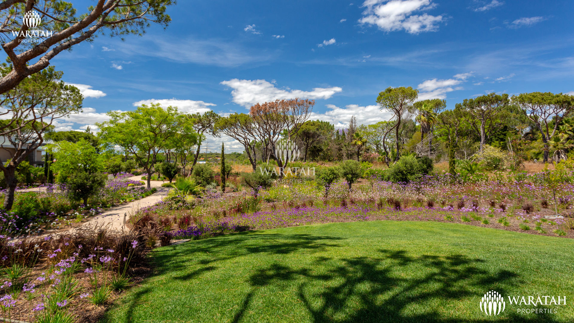 Villa Sandor Wp (41 De 106)