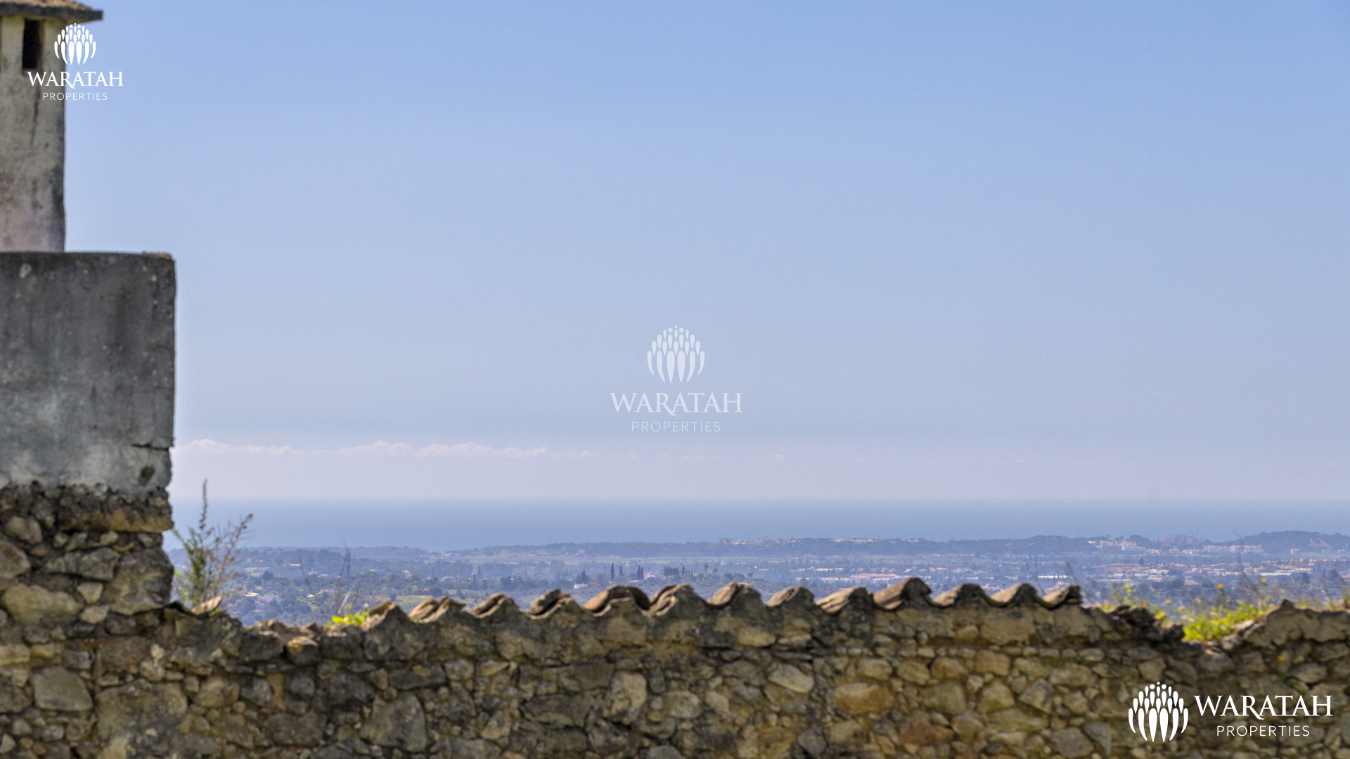 Plot Linaria WP (18 De 28)