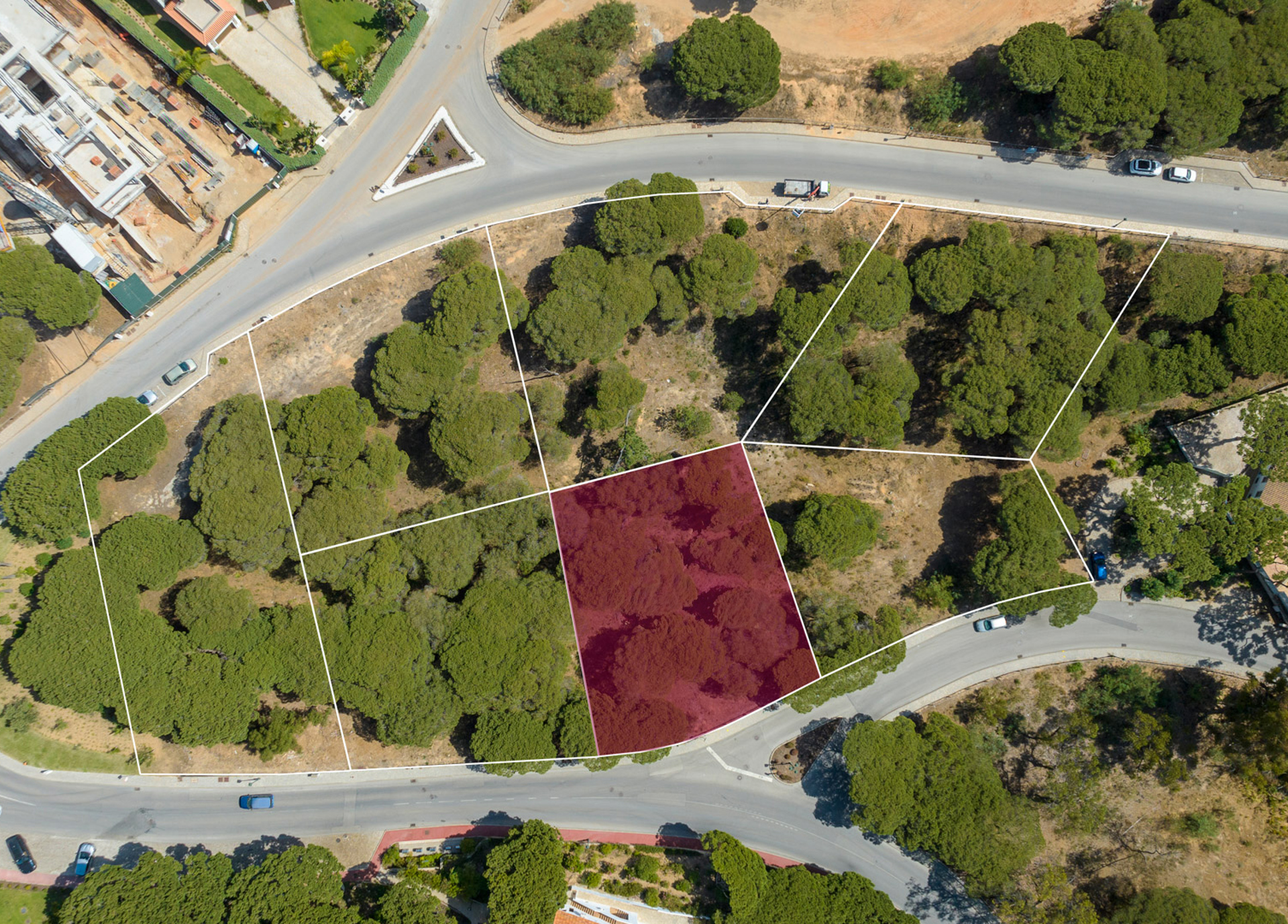 Plot Maples WP (9 De 16) Copiar