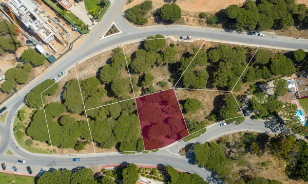 Plot Maples WP (9 De 16) Copiar