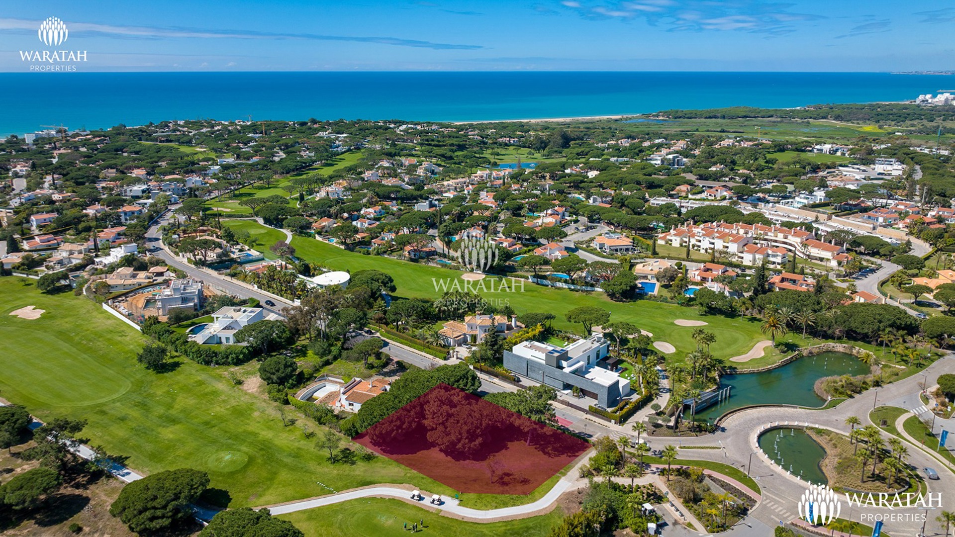 Waratah Plot Fern Vale Do Lobo (15 Of 18)