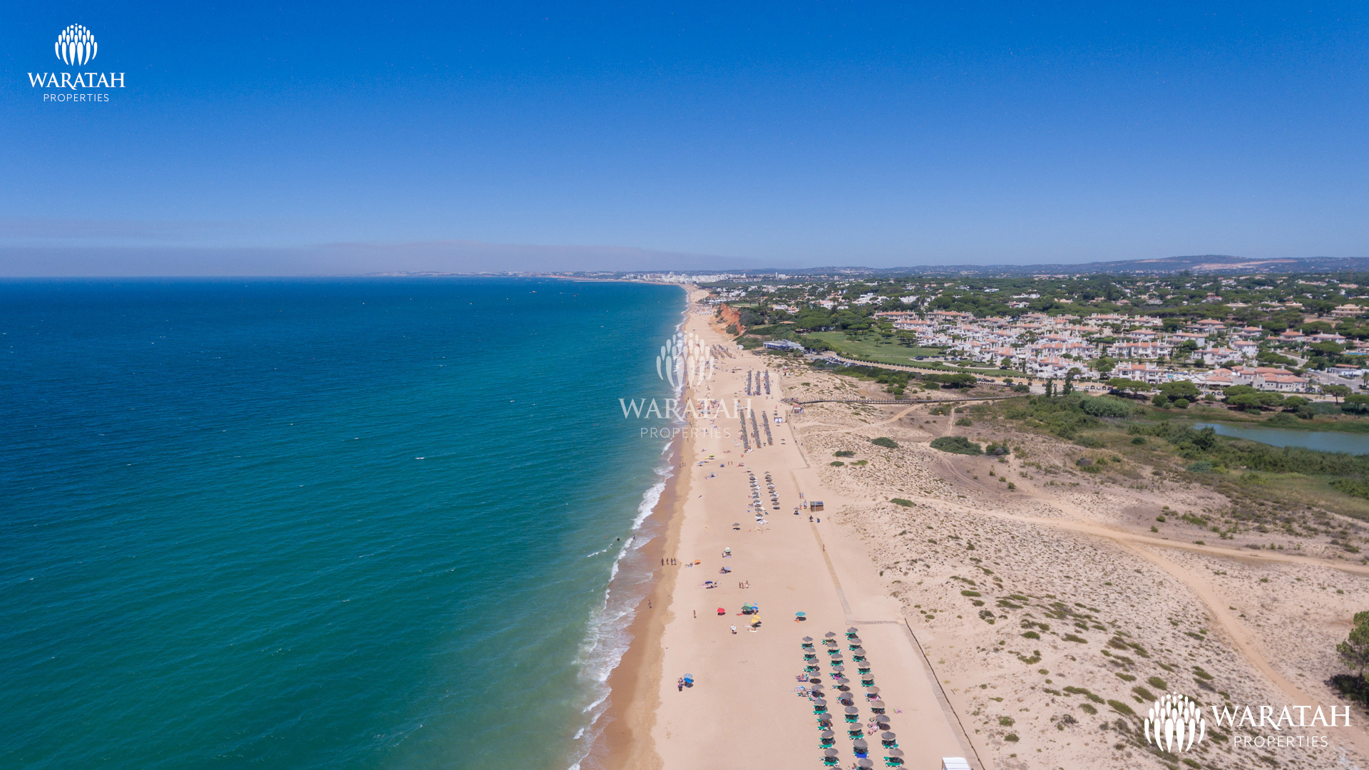 Plot Solo WP (1 De 38)